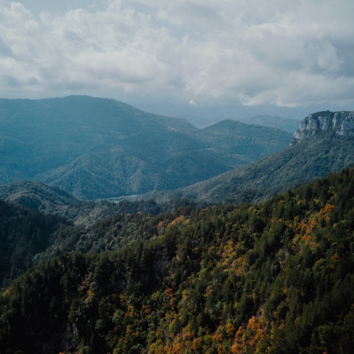 DJI 0094 sinisaglogoski kocevsko krempa