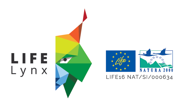 LIFElynx logo 1