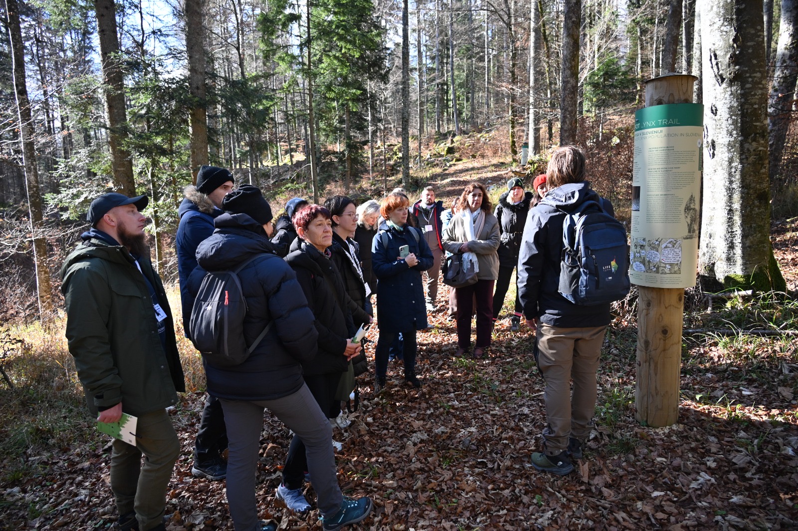 ecosphere kocevsko (1)