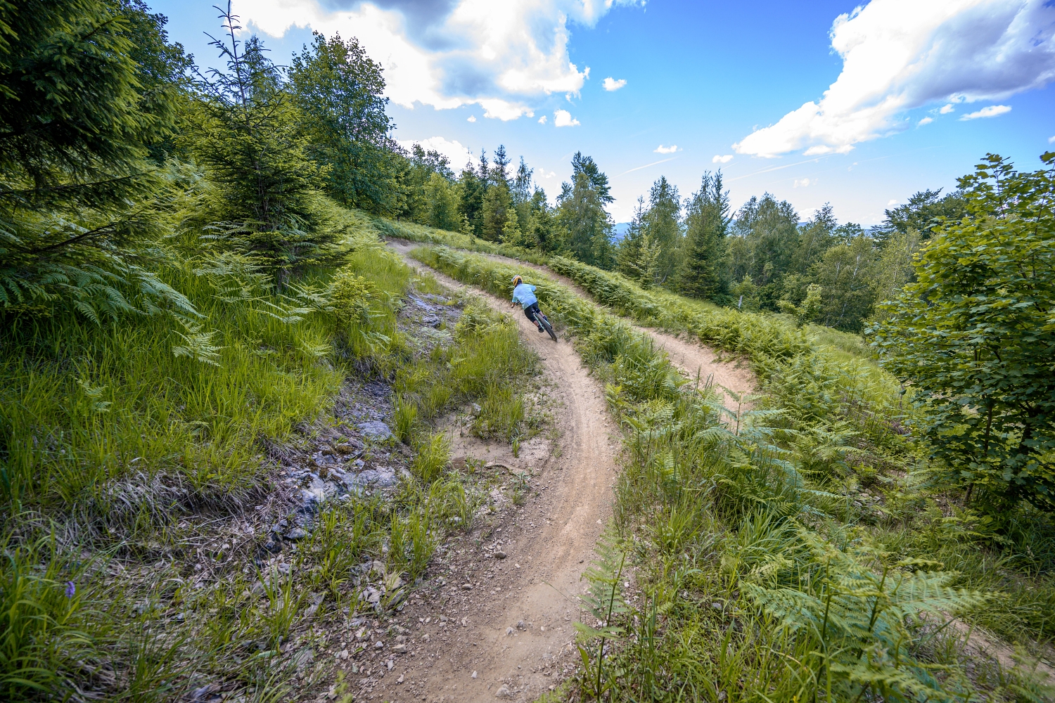 green trails kocevsko 4 MTB Foto Žiga Marin