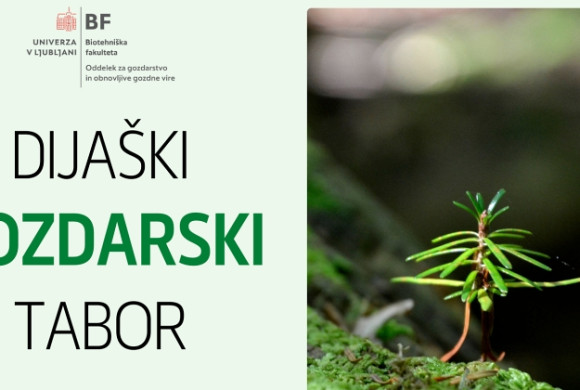 dijaski gozdarski tabor