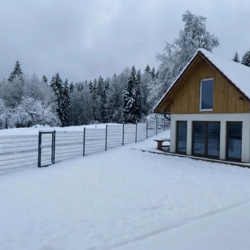 Kozlerjeva domacija (6)