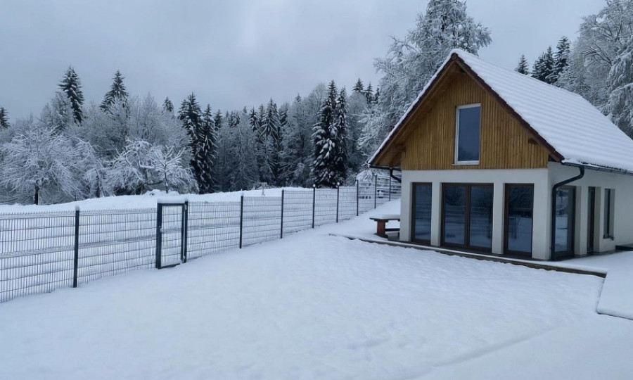 Kozlerjeva domacija (6)