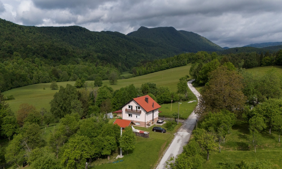 Deer Land Photo Apartment (16)