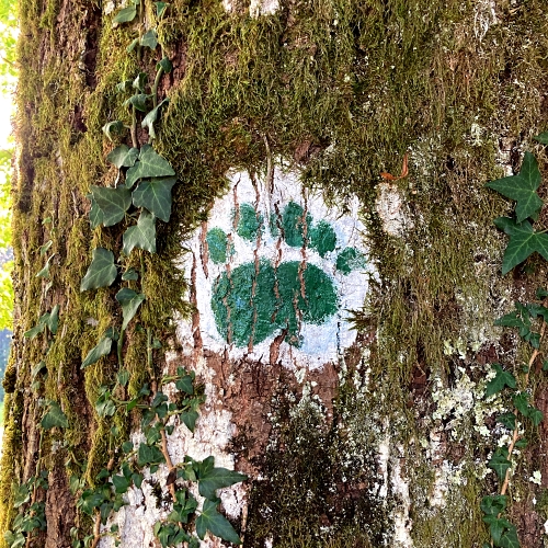 roskapespot nk