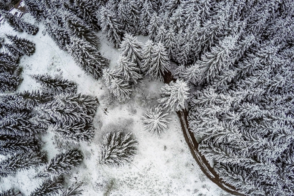 Foto Kapele gozd narava zima sneg