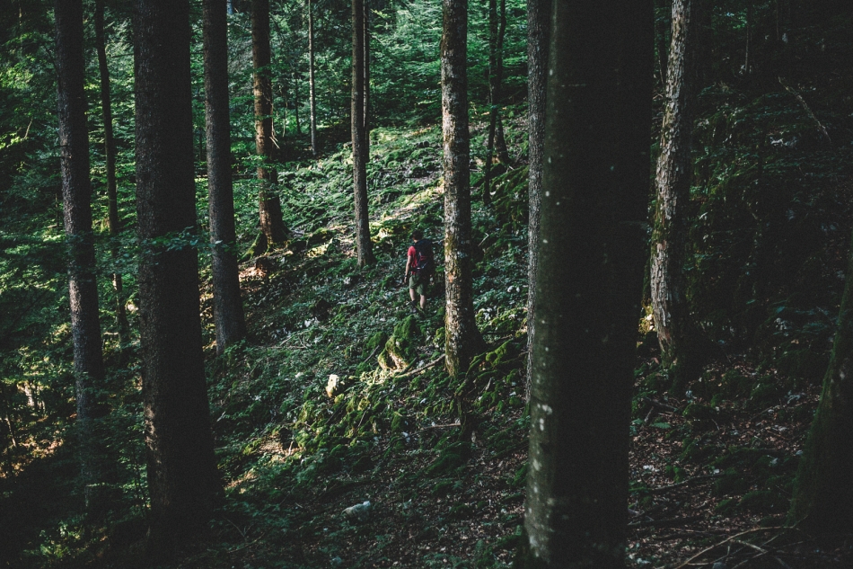 roska pespot marin medak