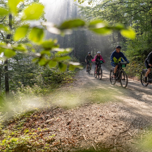 Kolesarjenje ZigaKoren