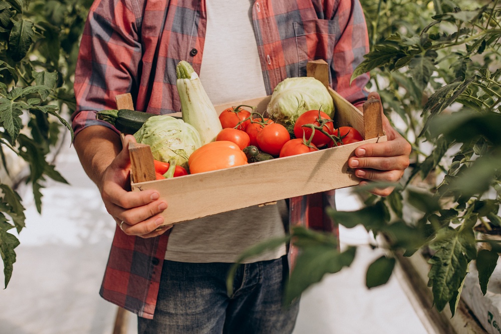 farmer greenhouse holding box vegetables